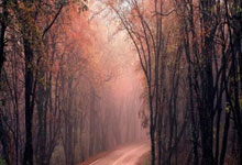 九游游戏-🔥瑞士篮协发布新一季赛程！火药味十足的对决日历已送达