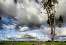 九游娱乐入口-绿茵风云录：当欧洲杯的变局遇上委内瑞拉的野望