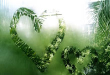 九游体育官方入口-塔斯马尼亚联球迷现场助威，激发球队夺冠斗志