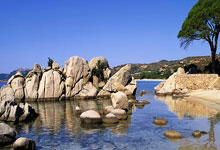 九游游戏-🔥瑞士篮协发布新一季赛程！火药味十足的对决日历已送达