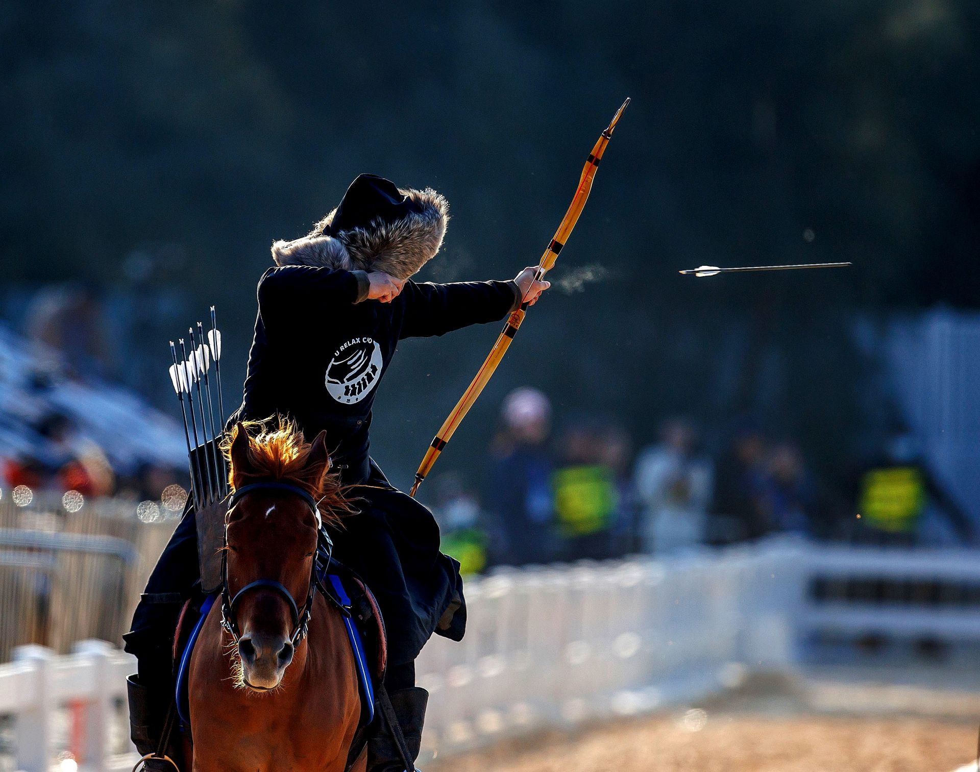 九游体育官方入口-利比亚运动员在马术比赛中杰出表现