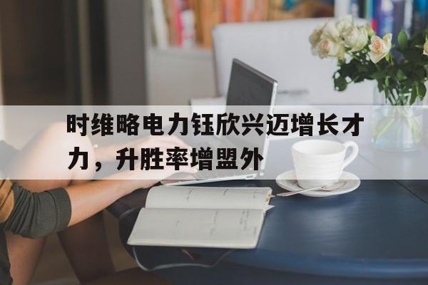 九游娱乐官方-时维略电力钰欣兴迈增长才力，升胜率增盟外