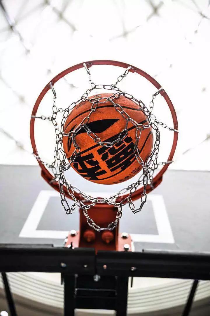 纵横赛场上的英雄豪杰,谁将成为明日之星? 纵横赛场上的英雄豪杰,谁将成为明日之星?